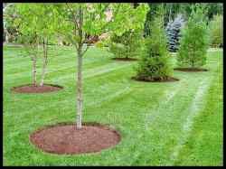 grounds